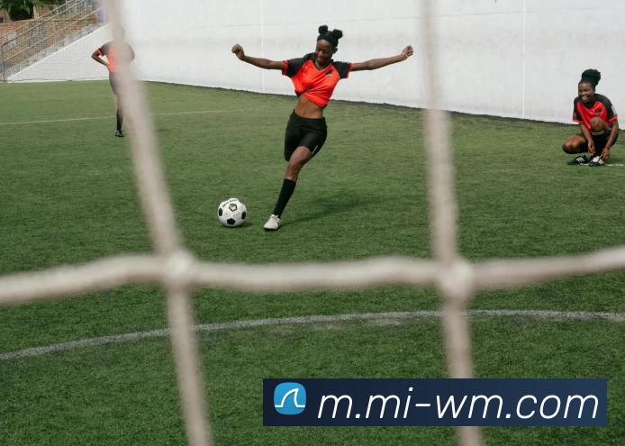 完美体育APP 高清赛事图