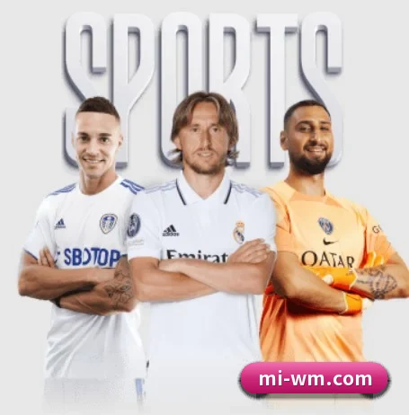 从比分速递到赛后复盘的完整链路（WMsports）