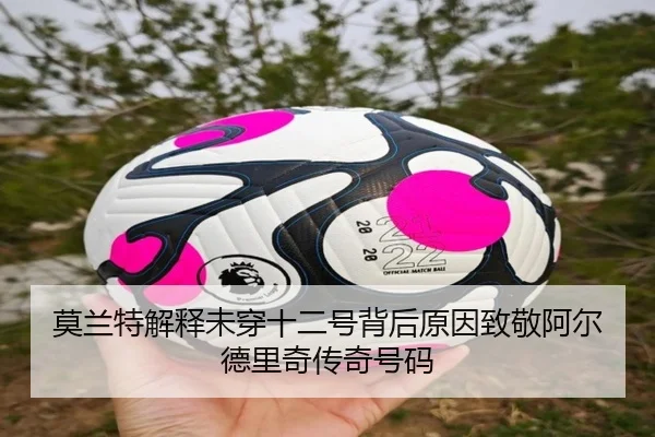 莫兰特解释未穿十二号背后原因致敬阿尔德里奇传奇号码 - WMsports