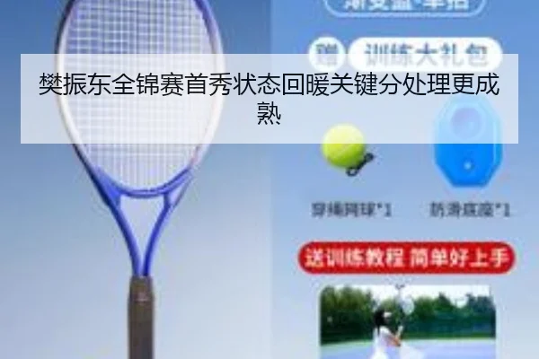 樊振东全锦赛首秀状态回暖关键分处理更成熟 - WMsports
